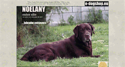 Desktop Screenshot of noelany-labradors.com