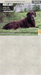 Mobile Screenshot of noelany-labradors.com