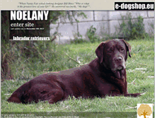 Tablet Screenshot of noelany-labradors.com